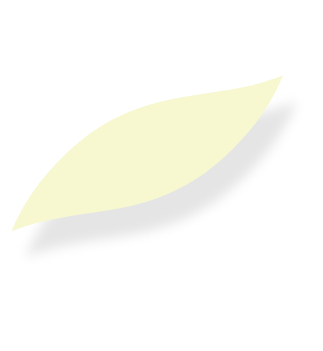 装飾画像